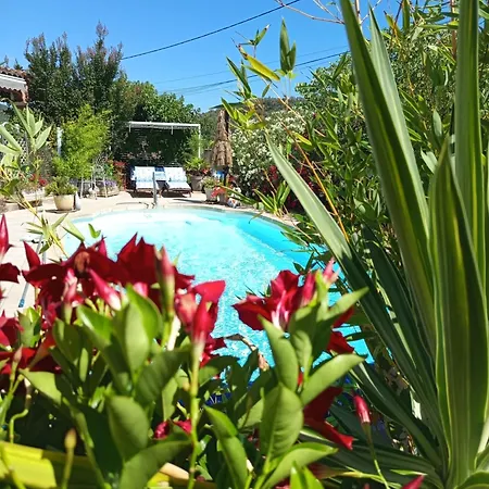 Sud France Petite Maison De Charme Avec Piscine, Jaccuzi Et Clim Bédarieux