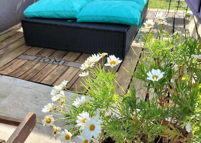 Sud France Petite Maison De Charme Avec Piscine, Jaccuzi Et Clim Feriehus Bédarieux